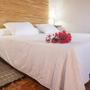 https://casa-rural-aloe-vera.es-andalucia.com