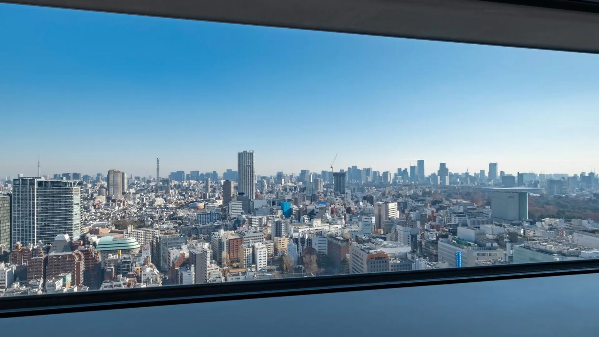 Hotel Gracery Shinjuku Tokió